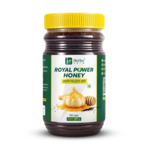 Royal Power Honey 500 gm